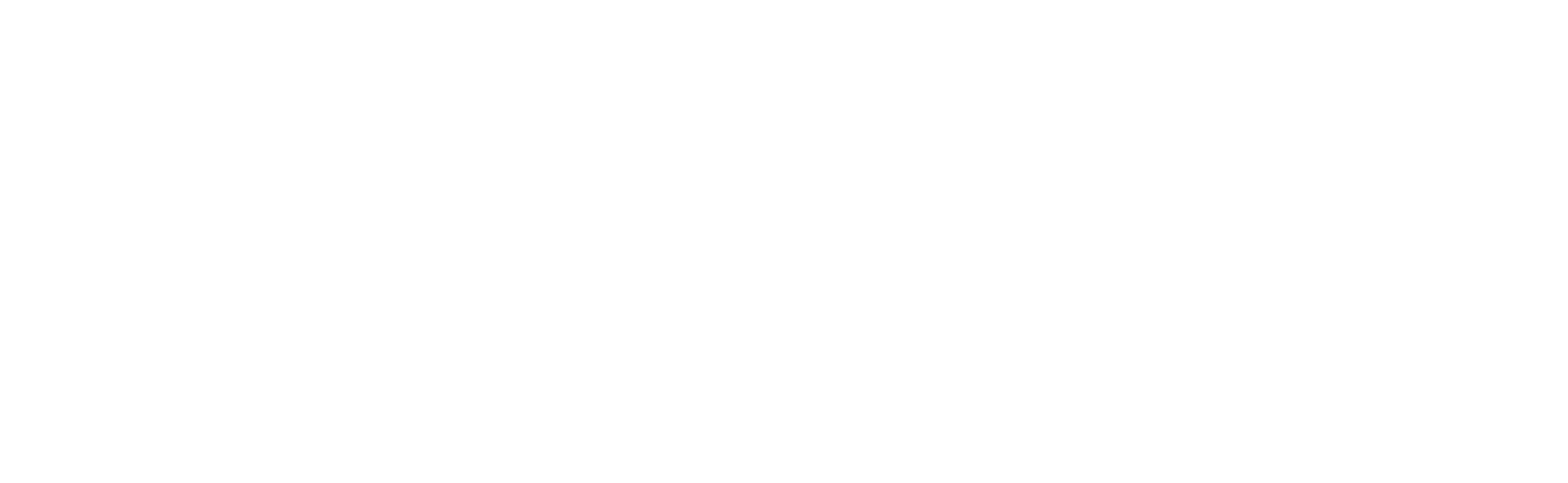 BandCamp-LogoW