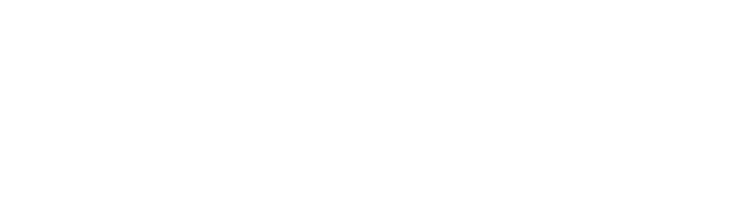 Deezer-logoW